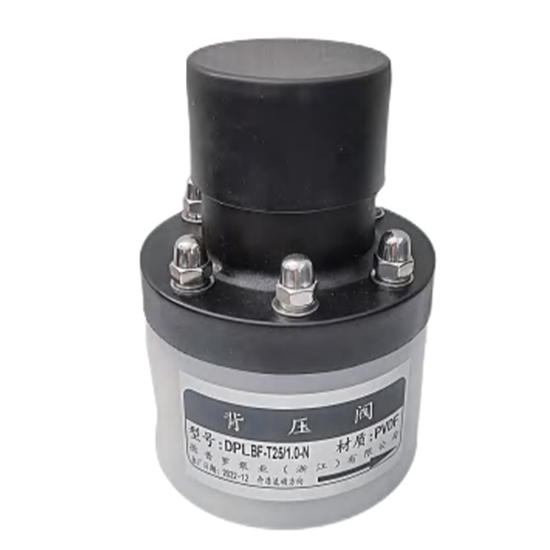 Back pressure valve